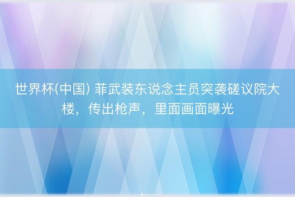世界杯(中国) 菲武装东说念主员突袭磋议院大楼，传出枪声，里面画面曝光