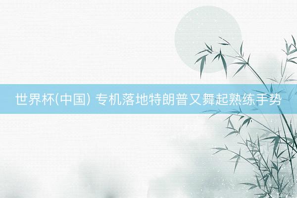 世界杯(中国) 专机落地特朗普又舞起熟练手势