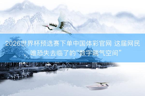 2026世界杯预选赛下单中国体彩官网 这届网民，唯恐失去临了的“数字喘气空间”