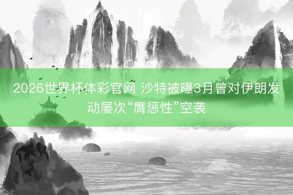 2026世界杯体彩官网 沙特被曝3月曾对伊朗发动屡次“膺惩性”空袭