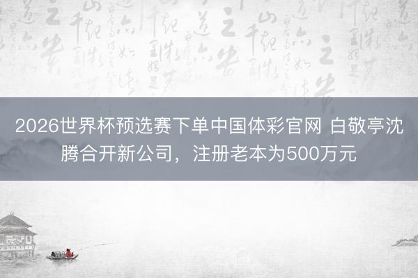 2026世界杯预选赛下单中国体彩官网 白敬亭沈腾合开新公司，注册老本为500万元