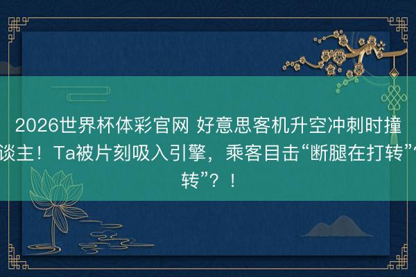 2026世界杯体彩官网 好意思客机升空冲刺时撞东谈主！Ta被片刻吸入引擎，乘客目击“断腿在打转”？！