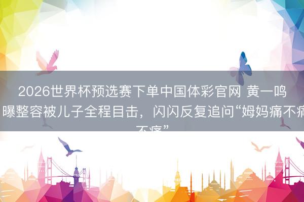 2026世界杯预选赛下单中国体彩官网 黄一鸣自曝整容被儿子全程目击，闪闪反复追问“姆妈痛不痛”