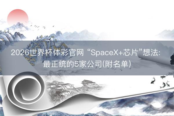 2026世界杯体彩官网 “SpaceX+芯片”想法: 最正统的5家公司(附名单)