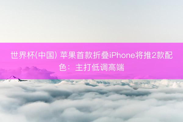 世界杯(中国) 苹果首款折叠iPhone将推2款配色：主打低调高端