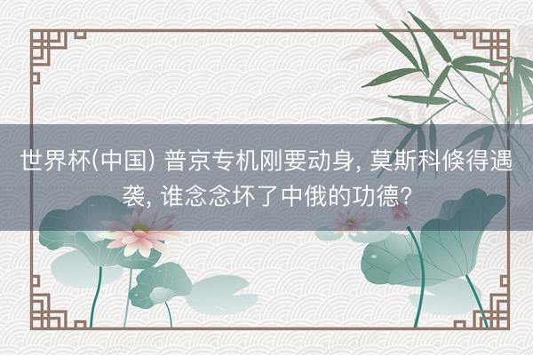 世界杯(中国) 普京专机刚要动身， 莫斯科倏得遇袭， 谁念念坏了中俄的功德?