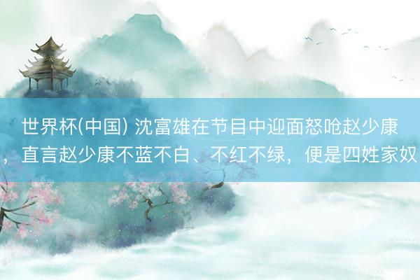 世界杯(中国) 沈富雄在节目中迎面怒呛赵少康，直言赵少康不蓝不白、不红不绿，便是四姓家奴