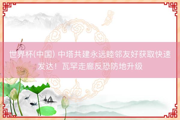 世界杯(中国) 中塔共建永远睦邻友好获取快速发达！瓦罕走廊反恐防地升级