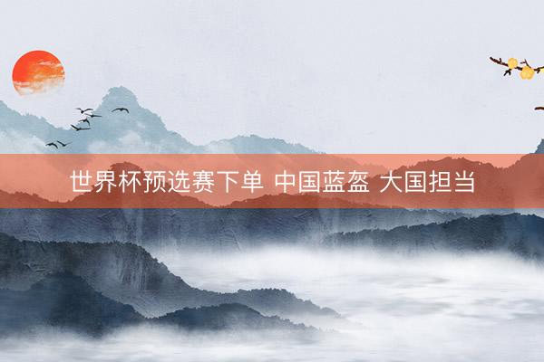 世界杯预选赛下单 中国蓝盔 大国担当
