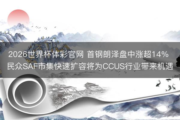 2026世界杯体彩官网 首钢朗泽盘中涨超14% 民众SAF市集快速扩容将为CCUS行业带来机遇