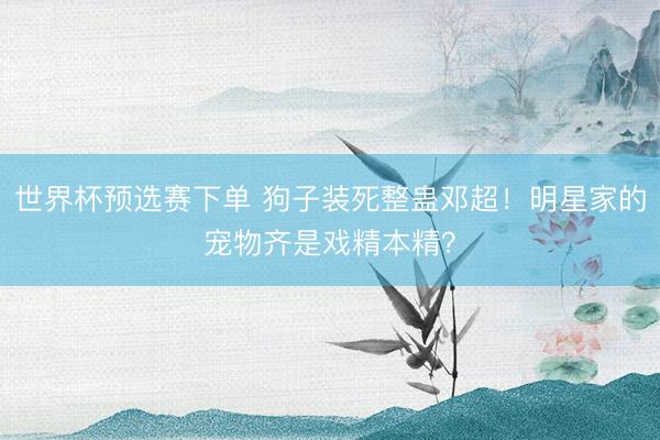 世界杯预选赛下单 狗子装死整蛊邓超！明星家的宠物齐是戏精本精？