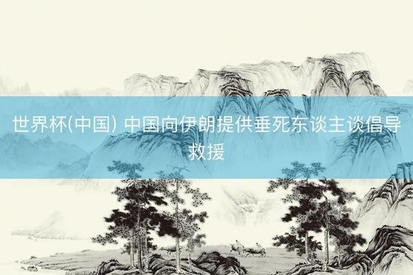 世界杯(中国) 中国向伊朗提供垂死东谈主谈倡导救援