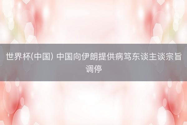 世界杯(中国) 中国向伊朗提供病笃东谈主谈宗旨调停