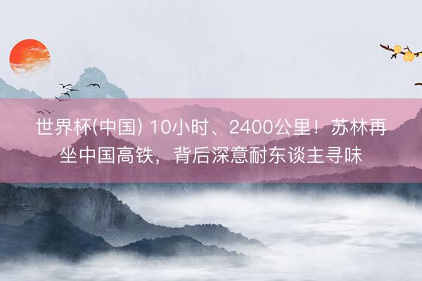 世界杯(中国) 10小时、2400公里！苏林再坐中国高铁，背后深意耐东谈主寻味