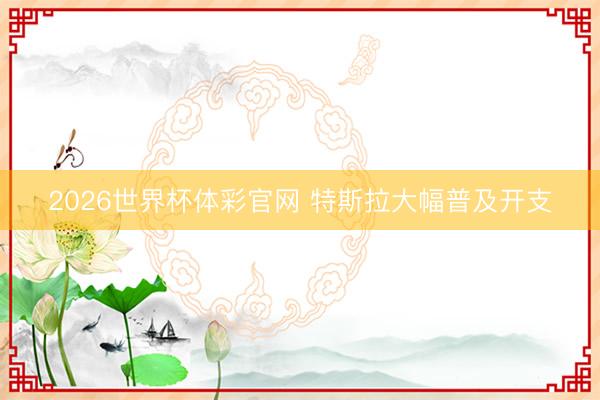 2026世界杯体彩官网 特斯拉大幅普及开支