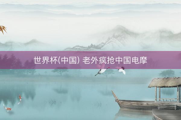 世界杯(中国) 老外疯抢中国电摩